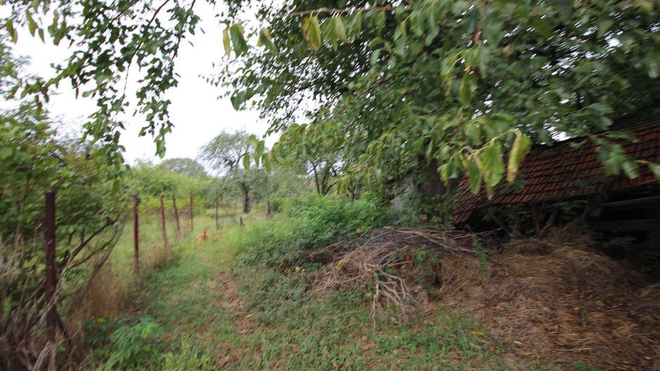 Teren de vânzare - 1900 mp Dumbravita - Poză 2