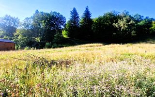 Teren intravilan de vânzare în Hărman, Brașov cu utilitati - Poză 2