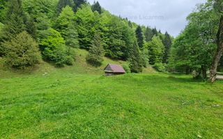 13005 mp teren faneata in Bran Simon cu fornt de 57 mp - Poză 1