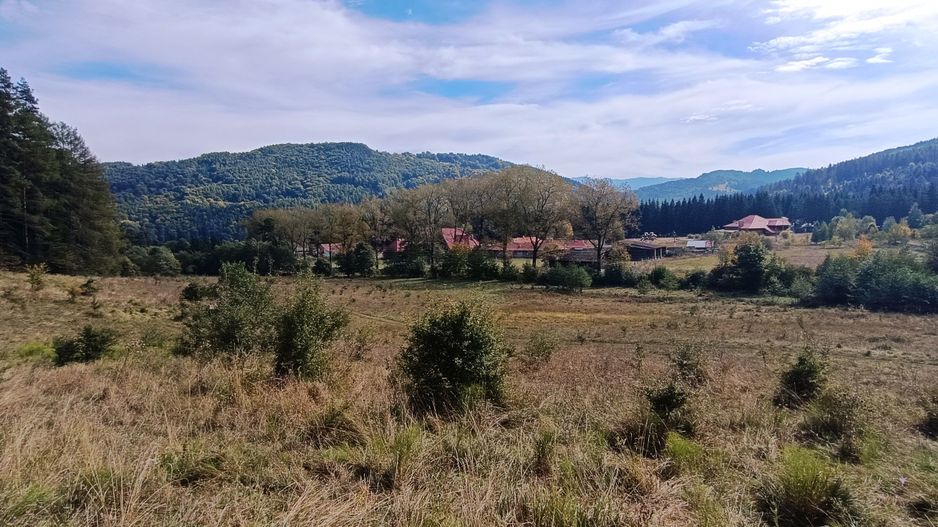 teren in zona Bradet-Sacele - Poză 1