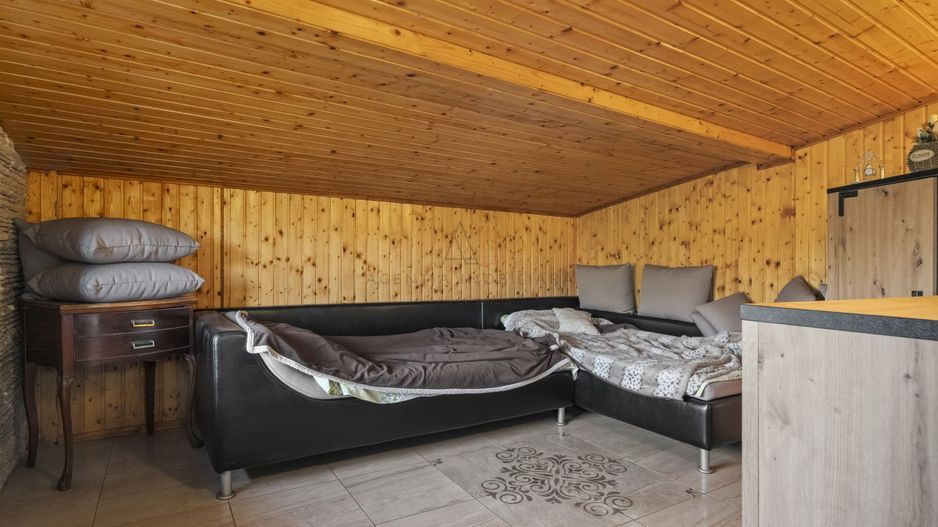 Comision 0% 2 case Vila + Spatiu Comercial + Curte Proprie - Poză 30