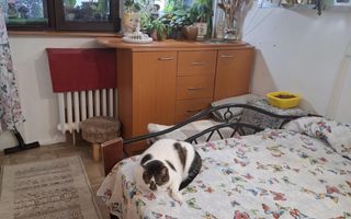 Apartament cu trei camere, Brancoveanu-Luica, 93.0000€ negociabil - Poză 5