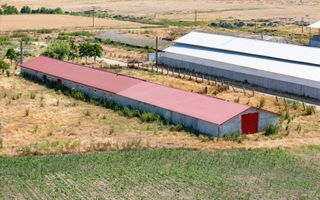 Cogealac - Tariverde – Ferma cu teren intravilan, utilitati racordate! - Poză 7