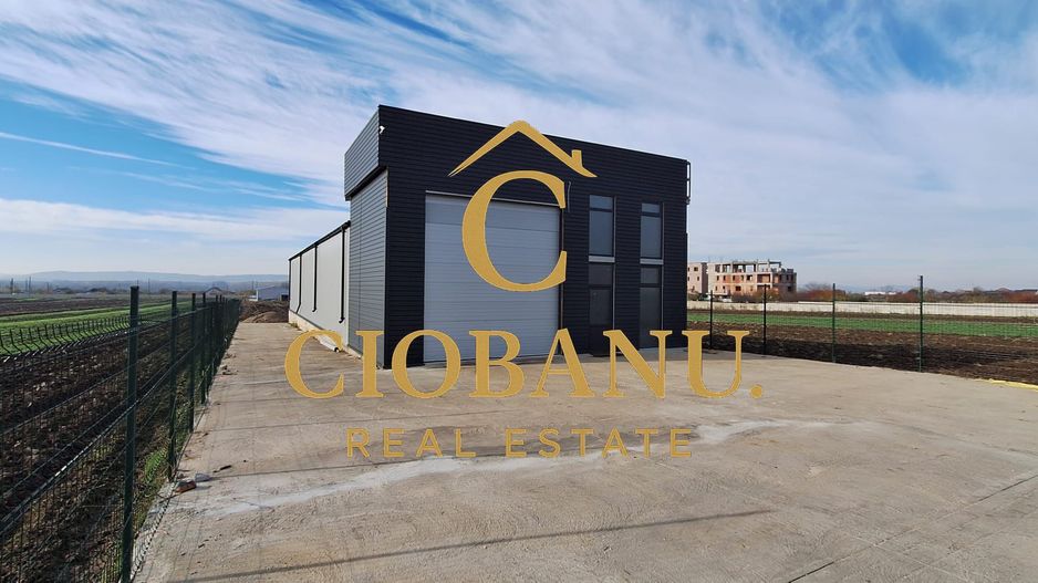 Hala de vanzare in Racari de Jos - Poză 16