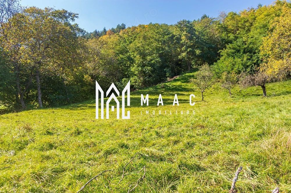 Teren | Intravilan | 2439 MPU | Fântânele - Poză 7