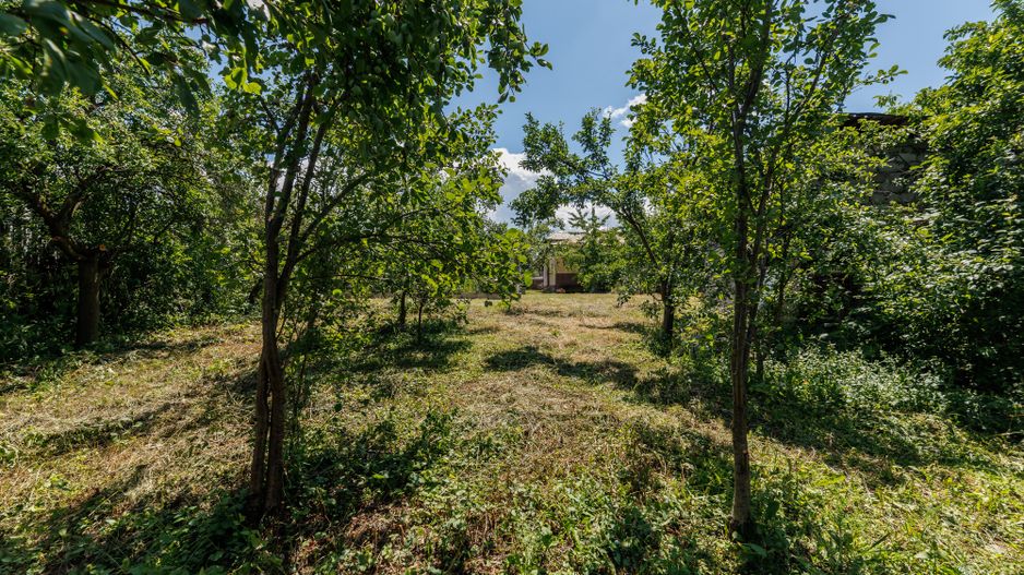 Casa cu teren - Prundu-Ideala pentru locuit sau dezvoltare imobiliara - Poză 15