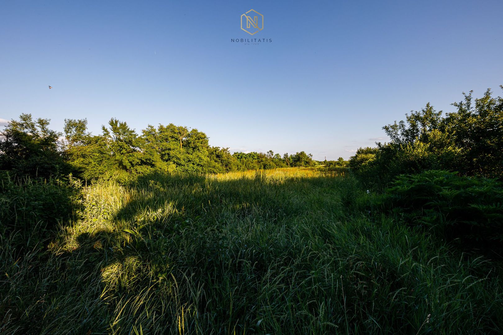 OFERTA VANDUTA  - Casa Izvin | 4 camere - 146 mp | Centrala gaz | Teren 3157 mp - Poză 23