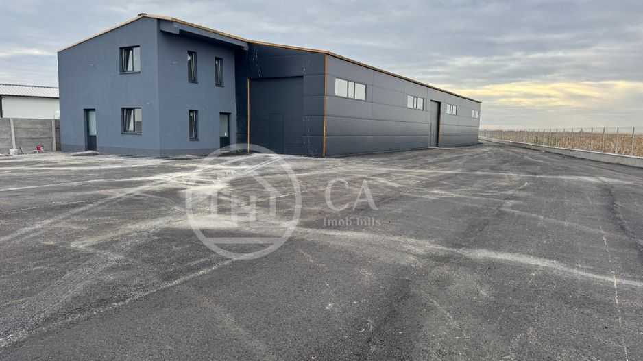 Hala de inchiriat, situata la intrare in Livada, Bihor - Poză 1