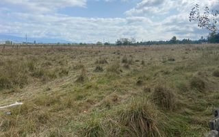 TEREN INTRAVILAN 5000 MP, GRUI, CAMPULUNG - Poză 7