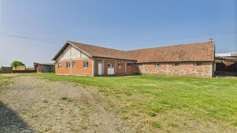 Complex industrial cu hale și teren  în Orțișoara - Poză 26