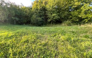 EXCLUSIVITATE! TEREN INTRAVILAN 29.2 ARI + 5.8 ARI TEREN EXTRAVILAN, DE VANZARE - Poză 7