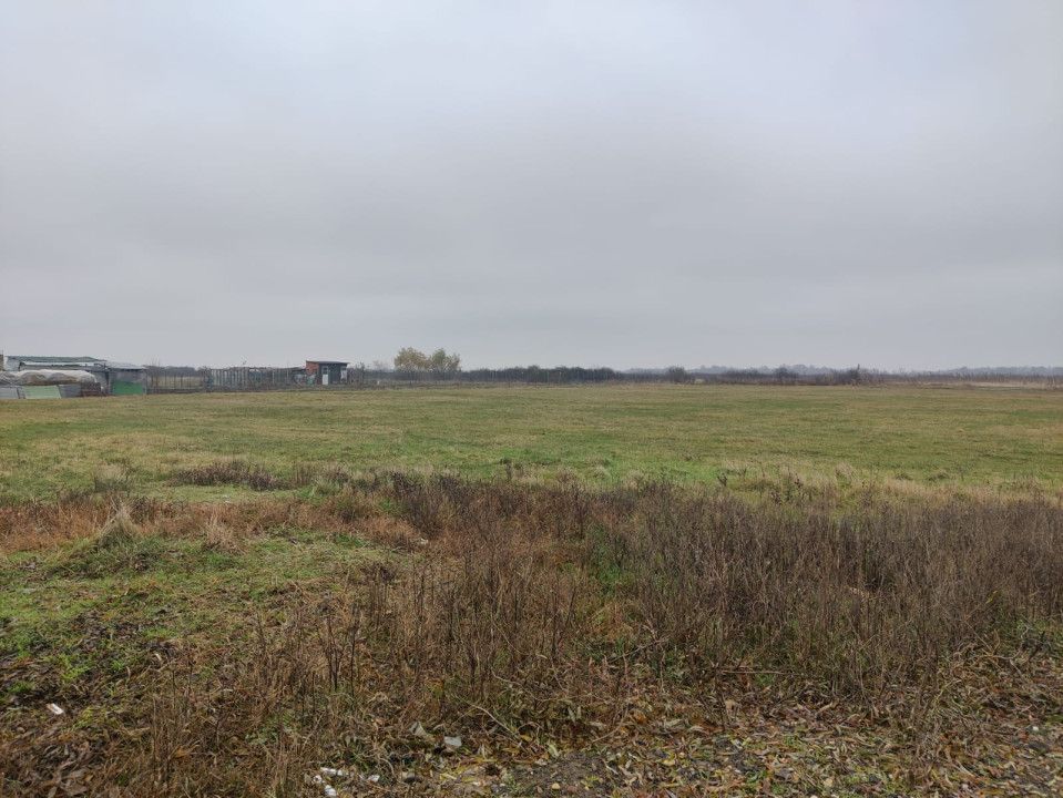 Teren 4588 mp, Remetea Mare Comision 0% - Poză 3