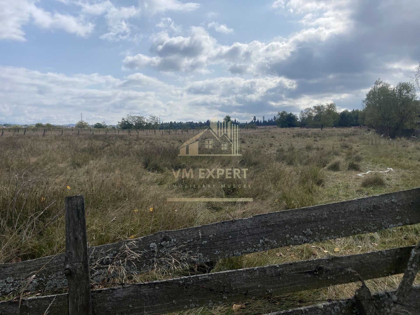 TEREN INTRAVILAN 5000 MP, GRUI, CAMPULUNG - Poză 1