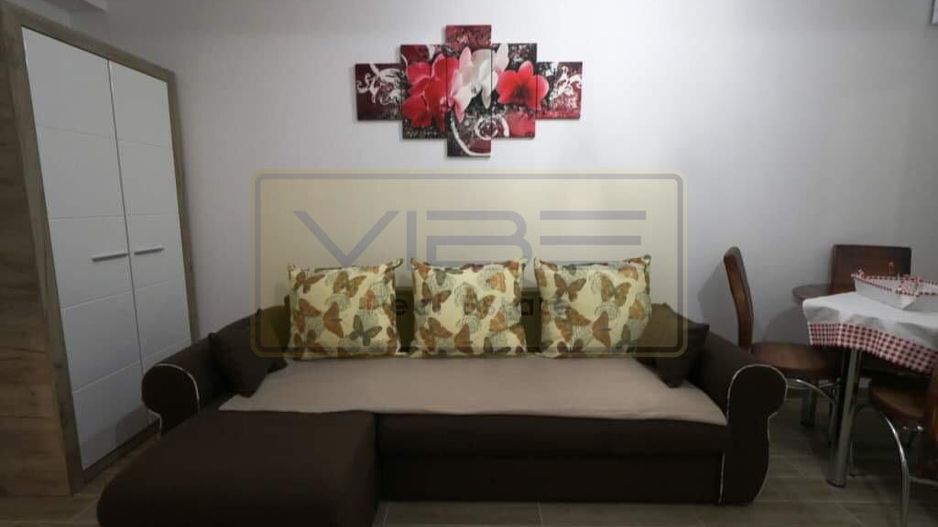 Apartament 1 camera Tatarasi - Tudor Office Center - Poză 6