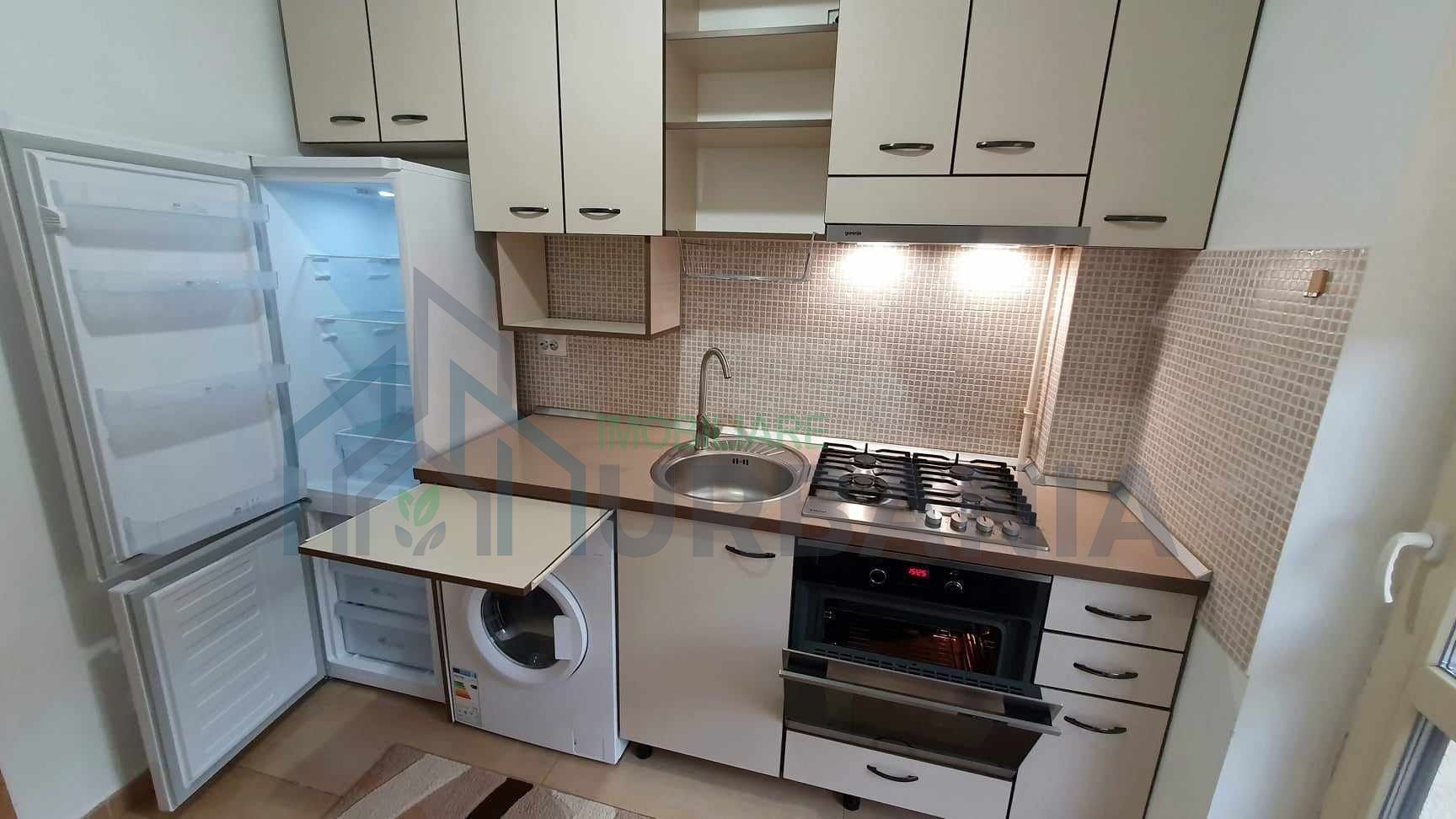 Apartament 1 cameră, Visoianu, Lunca Cetățuii – de închiriat - Poză 3