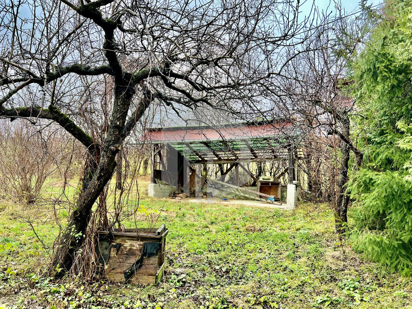Teren cu livada+ casa de vanzare in Talmacel- 4000 mp - Poză 7