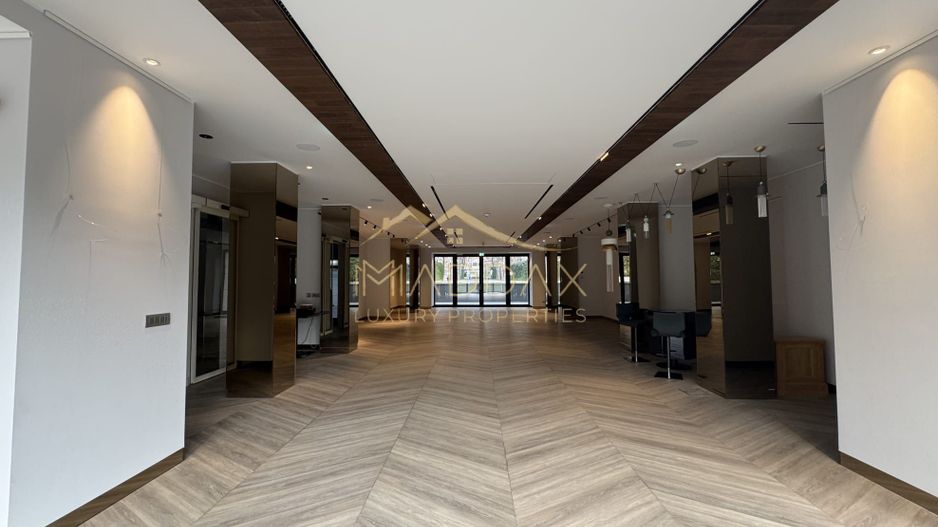 Spațiu Comercial de Lux – Kiseleff *376mp - Poză 3