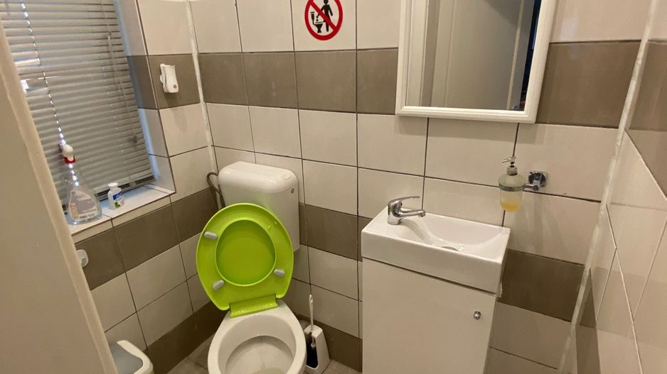 Casa zona Lipovei - Poză 13