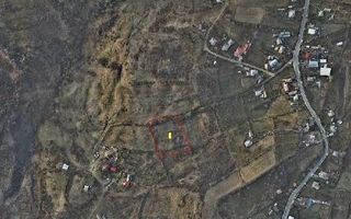 Teren de vânzare 4000 mp, Feredeni, Deleni - Poză 3