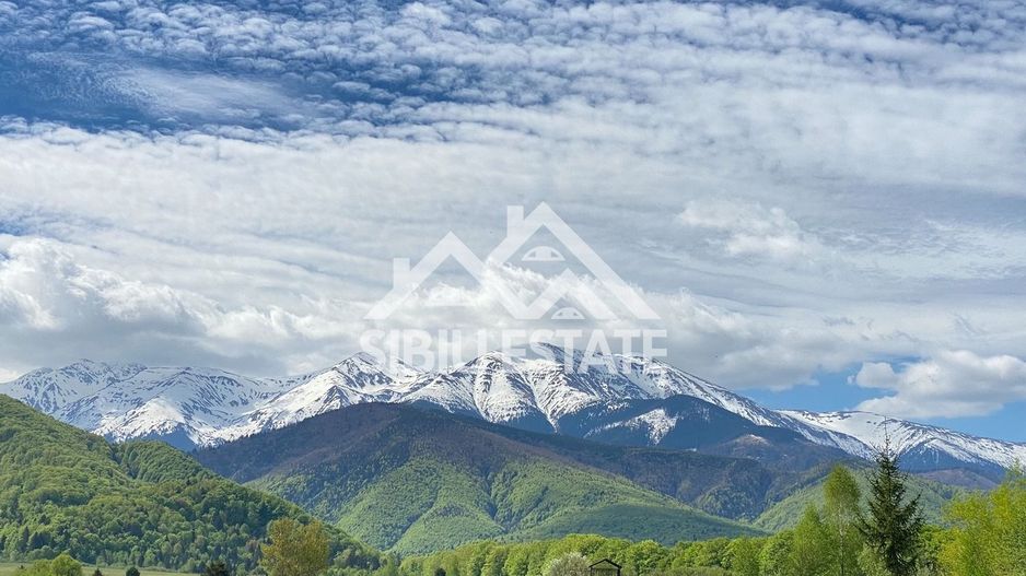 Oferta Limitata! Teren 4000mp V Avrigului 18e/mp - Poză 1