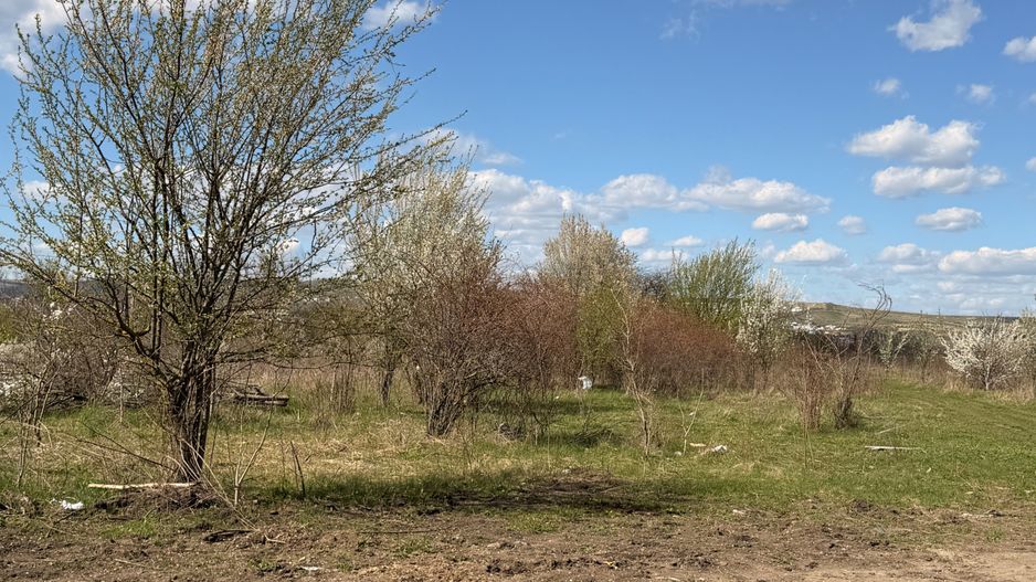 Teren situat în Sopor 5800 mp | Intravilan | Iulius Mall - Poză 6