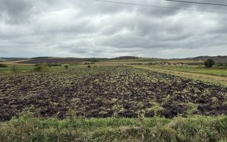 Oportunitate investiție! Teren intravilan, 9300 mp, front la DN, Iclod - Poză 2