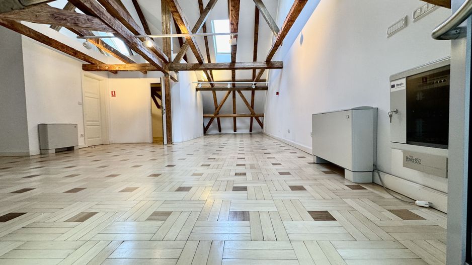 Spațiu Birou - Mansarda Cosy în Piața Unirii - Poză 9