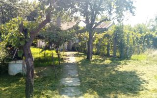 Casă Bătrânească în Satul Moreni, Comuna Prisecani, Iași - Poză 5