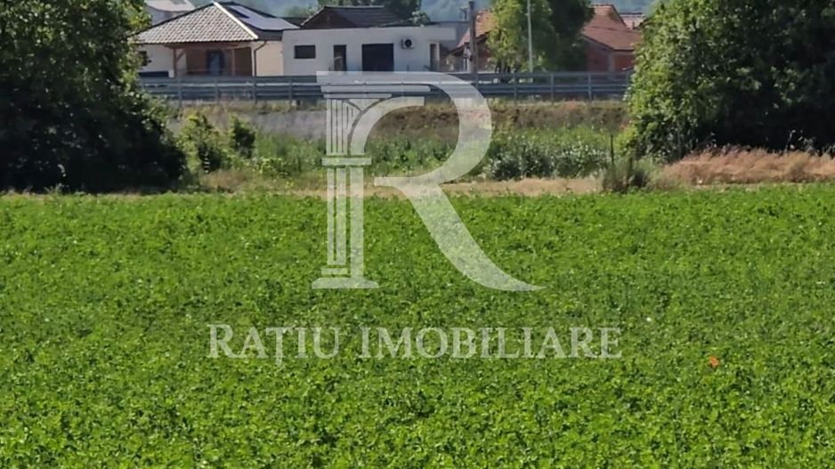 Teren Intravilan | 1780 mp | Sânmartin - Poză 5