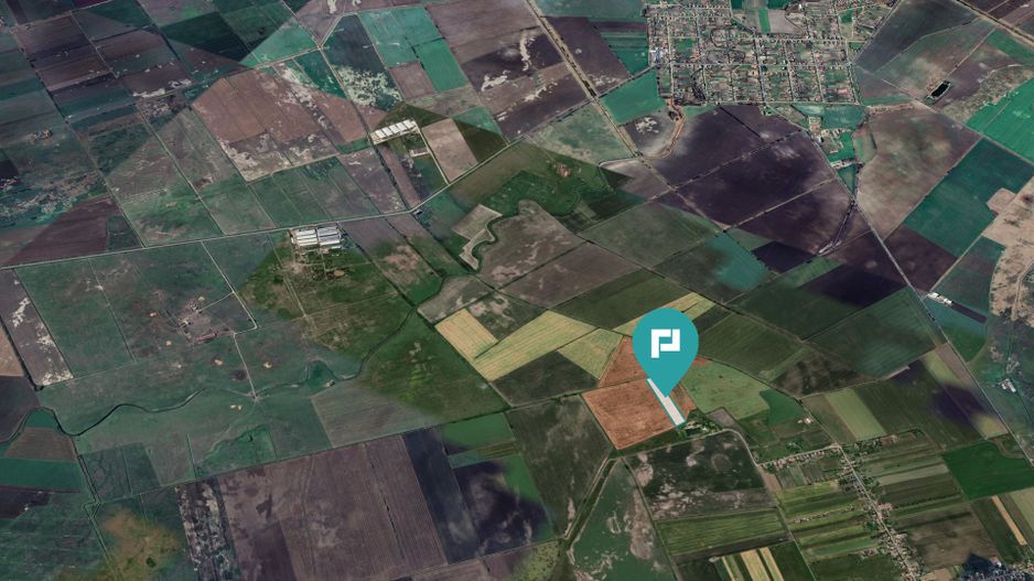 Teren extravilan de 28900 mp în Variașul Mare - Poză 3