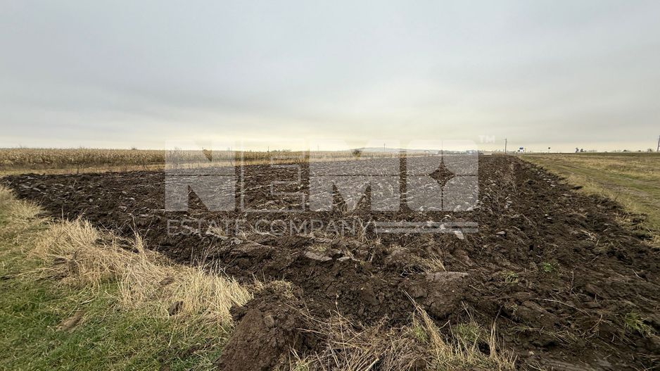 Parcela teren agricol 50 Ari - Poză 3