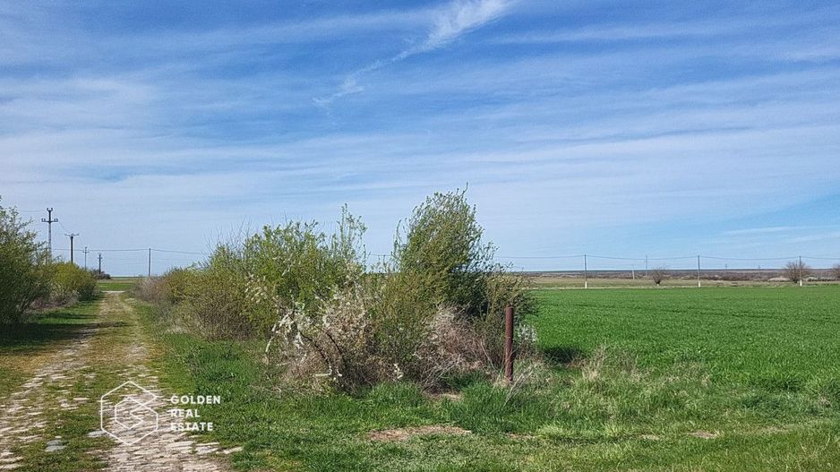 Teren extravilan, 22.5 ha, comuna Maureni - Poză 7