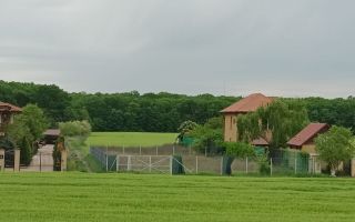 Casa de vânzare Ciofliceni com.Snagov - Poză 5