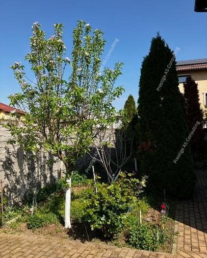 Apartament 3 camere | Parcare | Curte privata bloc - Poză 8