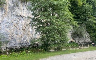 Teren pentru investiție turistică în Dâmbovicioara – Baranga | 4.500 mp | Front ~102 ml - Poză 15