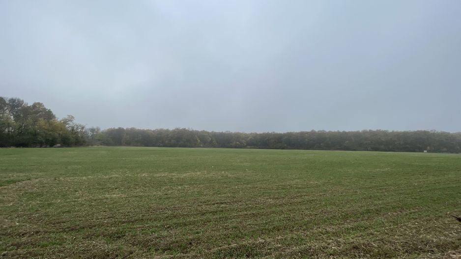 9400 mp | Ideal pentru investitie | Tunari | Deschidere la padure - Poză 5