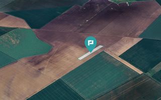 Teren 36.000 mp în Peciu Nou - Poză 4