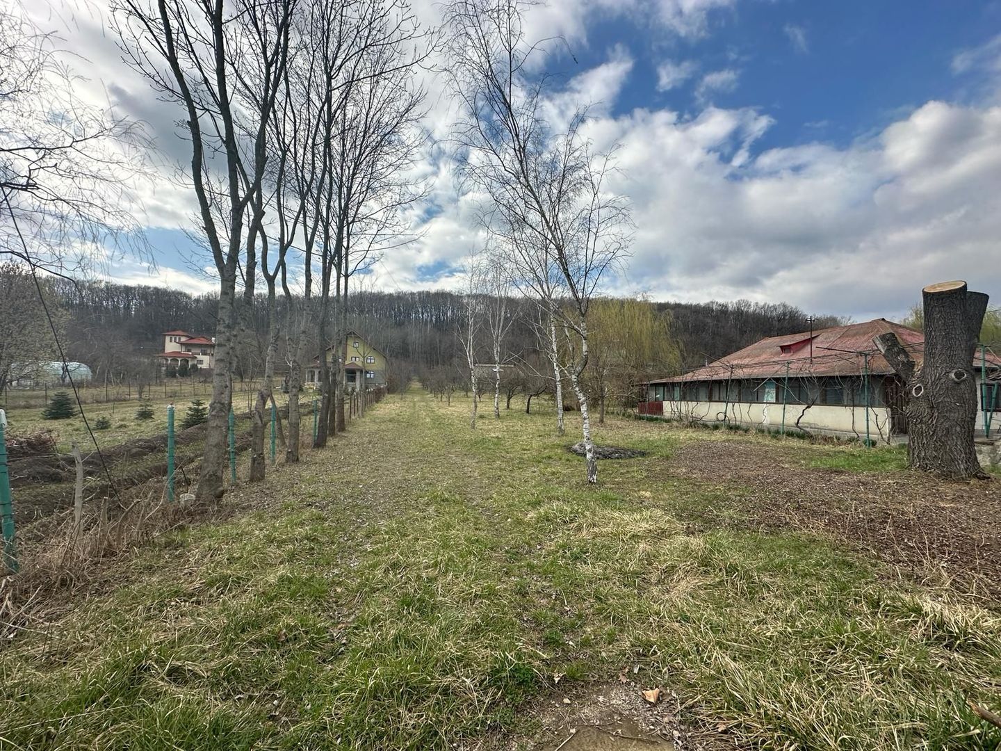 La liziera Padurii, intre case noi, acces drum asfaltat - Poză 2