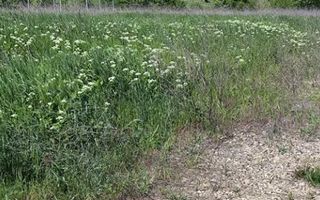 Teren intravilan Peris | 400 mp | Oportunitate investitie - Poză 7