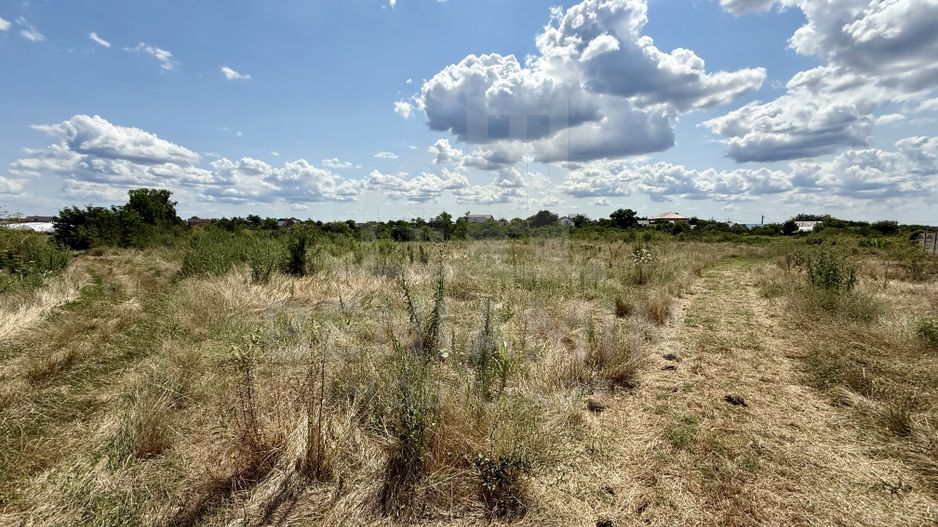 Teren Intravilan 2390mp - parcelabil - Malu Mare - Poză 1