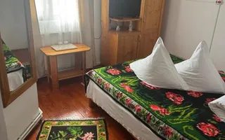 Pensiunea Dor de Alunis ! - Poză 23