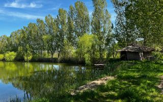 Vânzare, teren agricol, 90 ha, Orhei, satul Seliște - Poză 13