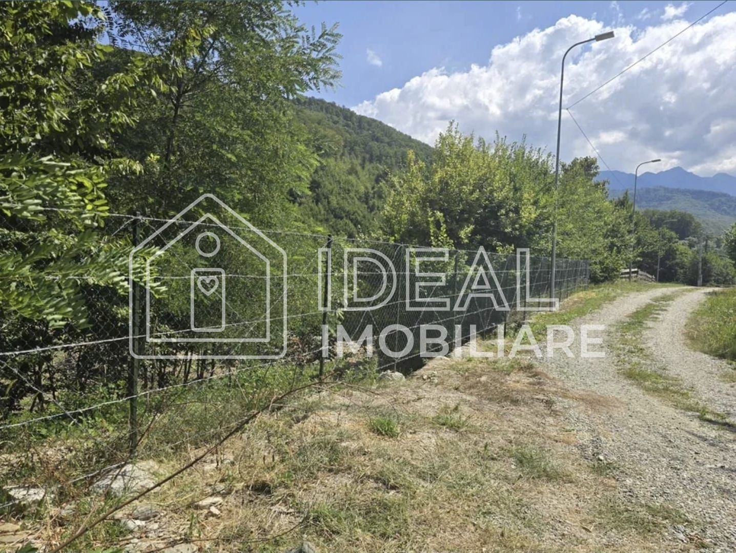 Teren extravilan 2.300 mp – Cârțișoara, județul Sibiu - Poză 5