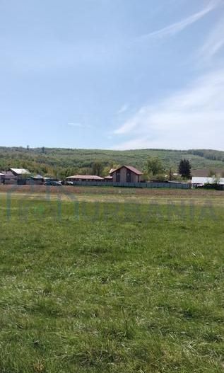 Teren extravilan 7.200 mp, Bordea - Grajduri, oportunitate investiție - Poză 8