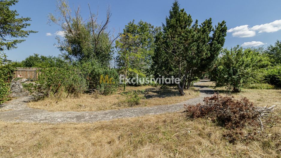 Domeniu privat 5.000 mp, cu reședință de 625 mp și piscină, Corbeanca - Poză 41