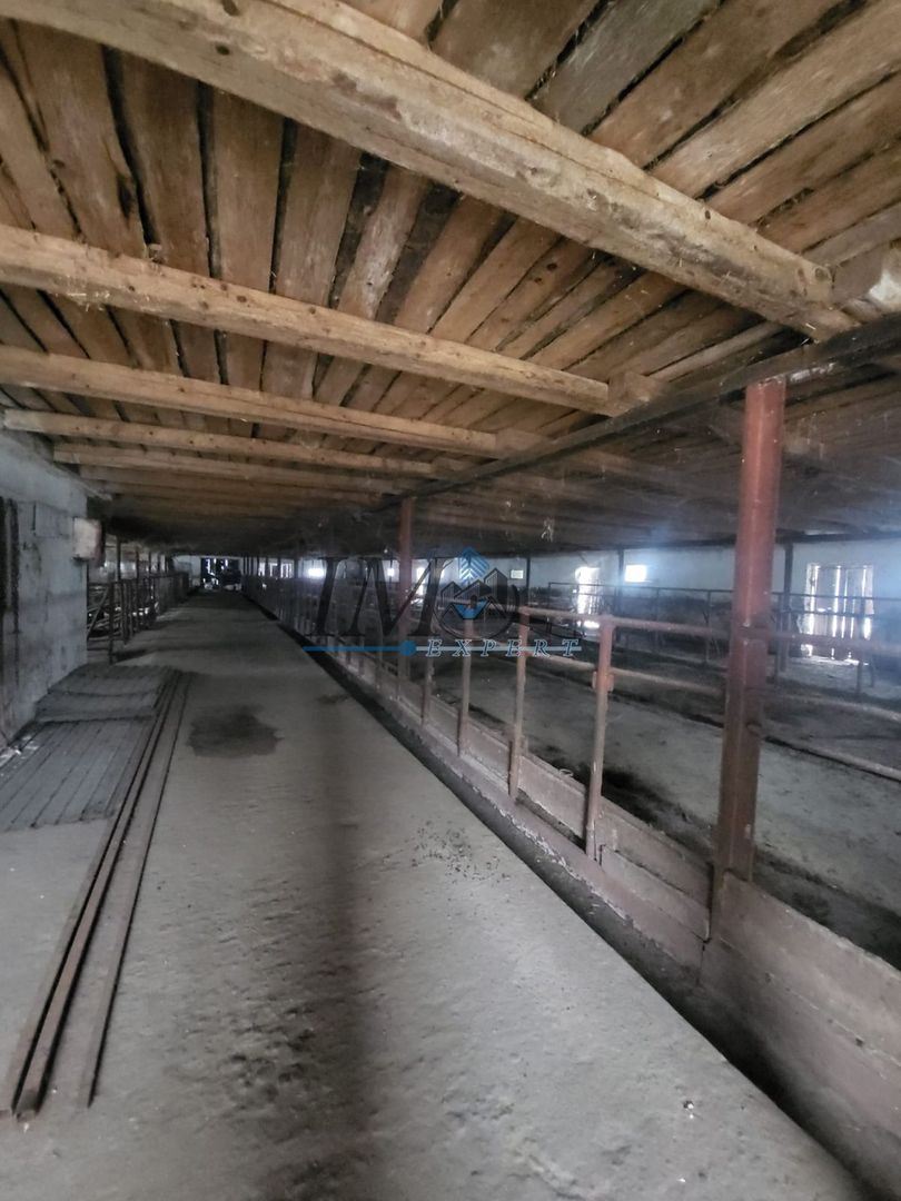 Grajd de inchiriat - Poză 1