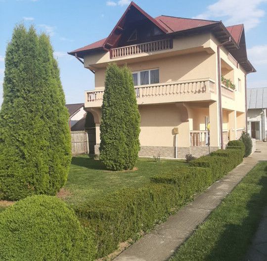 Inchiriere Vila Pitesti, Prundu Mic - Poză 14