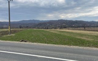 Vânzare teren 3145 mp – Mănăstirea Cașin, Onești - Poză 3