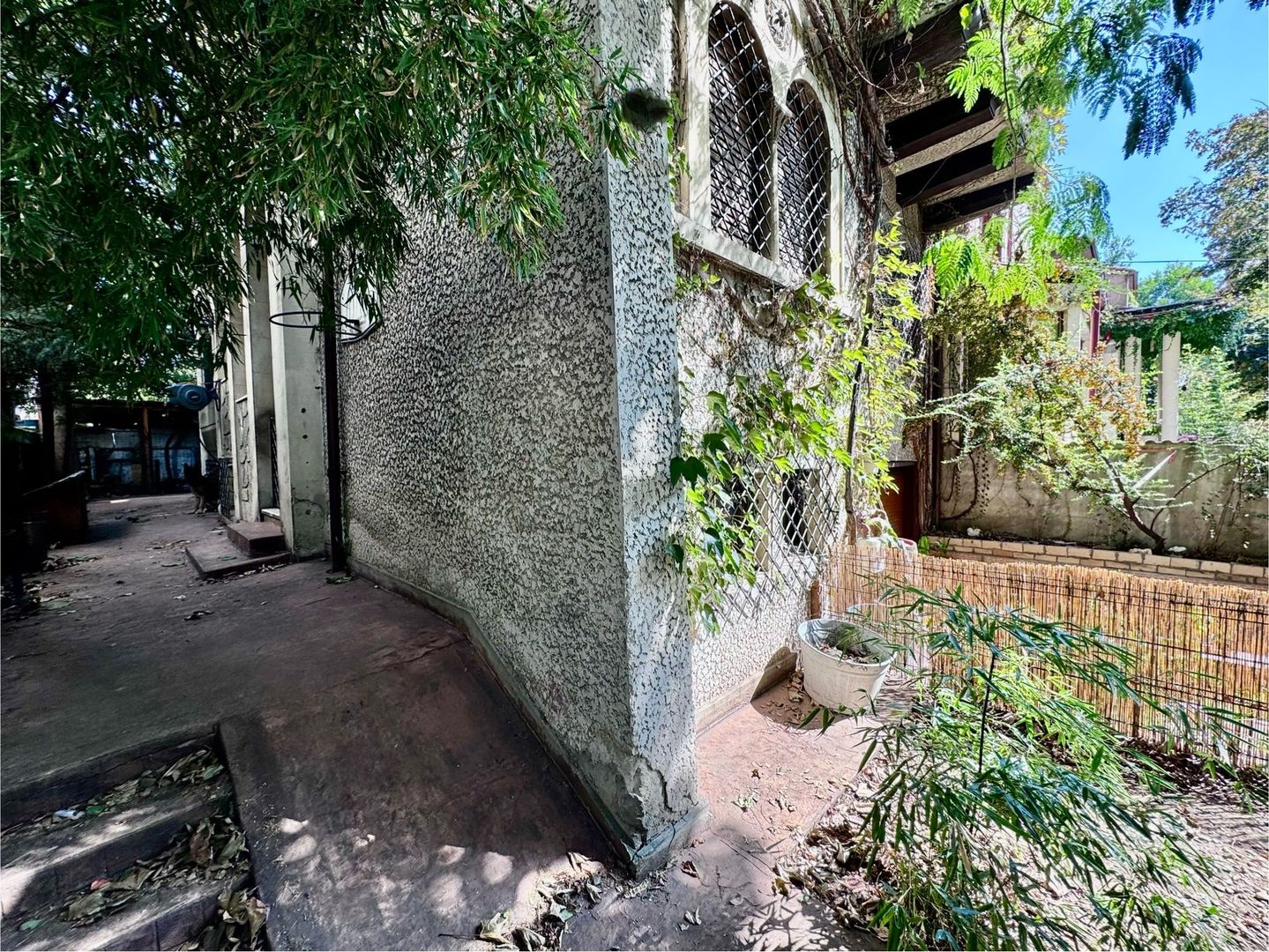 3 camere in vila Primaverii renovat Charles de Gaulle - Poză 1