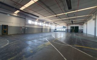 Hala productie /depozitare -zona C.  Sagului - Poză 3